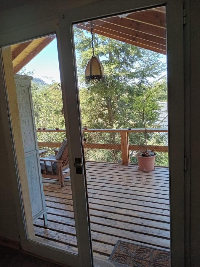 Casa De Huespedes Pehuenia Chalet